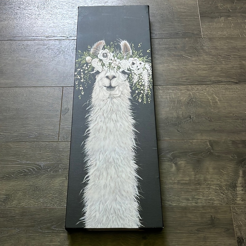 dolly llama picture hanging